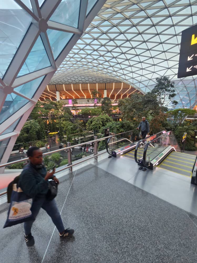 HAMAD INTERNATIONAL AIRPORT, DOHA - Image 6